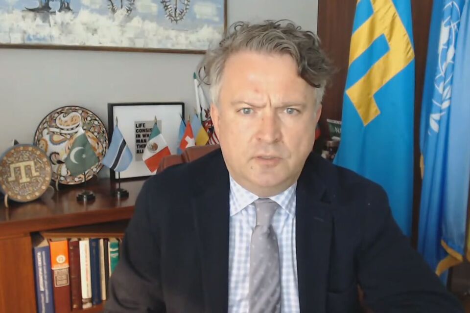 STATEMENT by the delegation of Ukraine at the annual session 2021 of the Executive Board of UNDP/UNFPA/UNOPS 