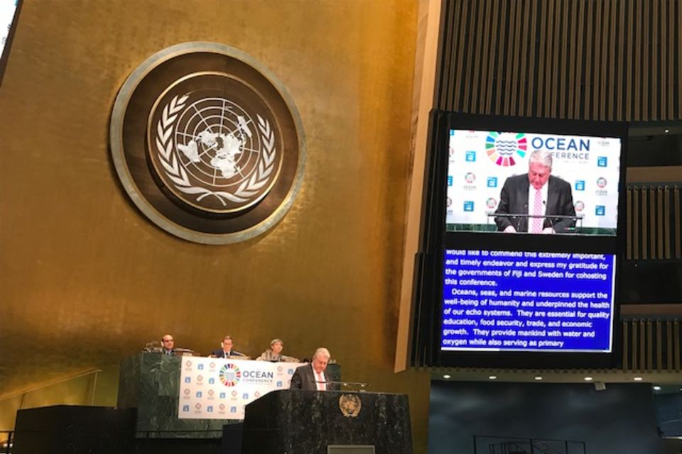 Statement by the delegation of Ukraine at the UN Ocean Conference