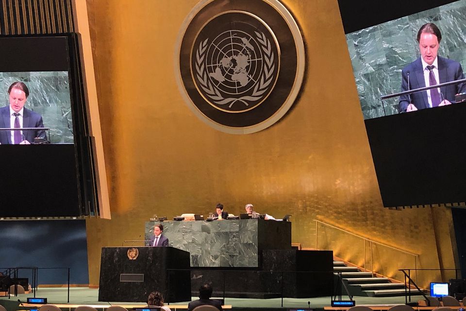 Statement by the delegation of Ukraine at the General Assembly Debate on IIIM